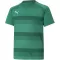Kinder T-Shirt PUMA TEAMVISION JERSEY JR 704928_05 PFEFFERGREEN/POWERGREEN/WEIß