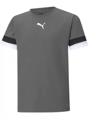 Kinderfußballtrikot PUMA TEAMRISE JERSEY JR 704938_13 GERÄUCHERTER PERLE/SCHWARZ/WEIß