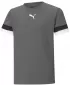 Kinderfußballtrikot PUMA TEAMRISE JERSEY JR 704938_13 GERÄUCHERTER PERLE/SCHWARZ/WEIß