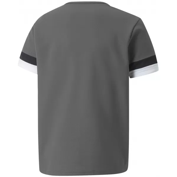 Kinderfußballtrikot PUMA TEAMRISE JERSEY JR 704938_13 GERÄUCHERTER PERLE/SCHWARZ/WEIß 