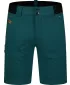 Shorts NORDBLANC CLIMBHIGH NBSPM8197 GRÜN