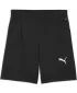 Shorts PUMA TEAMFINAL TRAINING SHORTS 658566_03 PUMA BLACK/PUMA SILBER