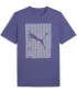 Herren-T-Shirt PUMA GRAPHICS WORDING TEE 684825_46 BLAUER KRISTALL