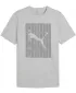 Herren-T-Shirt PUMA GRAPHICS WORDING TEE 684825_04 HELLGRAUES HEATHER