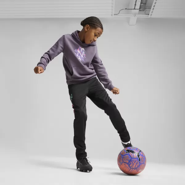  Baby Sweatshirt PUMA NEYMAR JR CREATIVITYHOODIEJR 660100_01 LILA HOLZKOHLE 