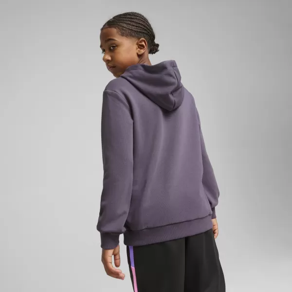  Baby Sweatshirt PUMA NEYMAR JR CREATIVITYHOODIEJR 660100_01 LILA HOLZKOHLE 