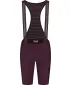 Damenfahrradshorts NORDBLANC ATLAS NBSPL8218 BRAUN