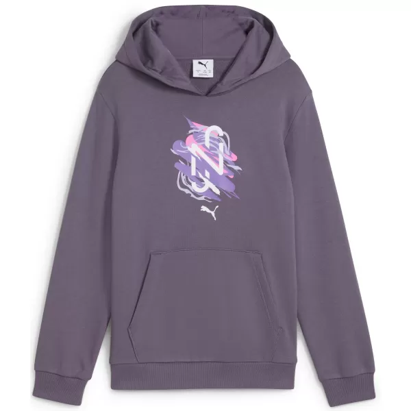  Baby Sweatshirt PUMA NEYMAR JR CREATIVITYHOODIEJR 660100_01 LILA HOLZKOHLE 