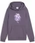 Baby Sweatshirt PUMA NEYMAR JR CREATIVITYHOODIEJR 660100_01 LILA HOLZKOHLE