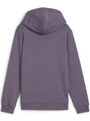 Baby Sweatshirt PUMA NEYMAR JR CREATIVITYHOODIEJR 660100_01 LILA HOLZKOHLE