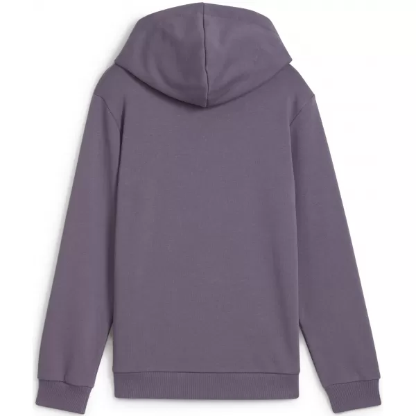  Baby Sweatshirt PUMA NEYMAR JR CREATIVITYHOODIEJR 660100_01 LILA HOLZKOHLE 