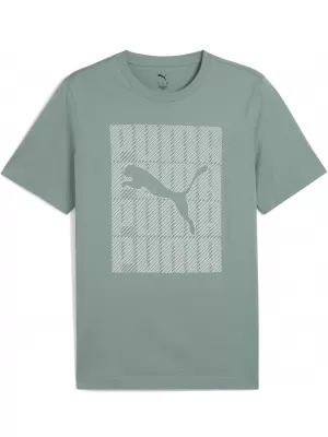 Herren-T-Shirt PUMA GRAPHICS WORDING TEE 684825_30 GRÜNER MOND