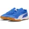 Stiefel PUMA SOLARFLASH III 107850_03 PUMA -TEAM ROYAL/WHITE/GUM