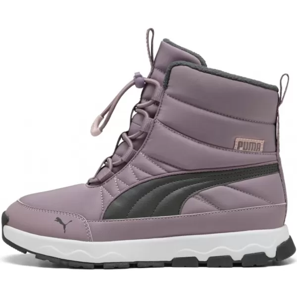  Stiefel PUMA EVOLVE BOOT JR 392644-09 LILA 