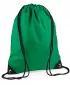 | BG 10 KELLY GREEN BagBase