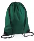 | BG 10 FLASCHE GRÜN BagBase
