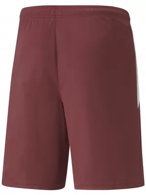 Shorts PUMA TEAMLIGA SHORTS 704924_02 ELEKTRISCHE BLAUE LIMONADE