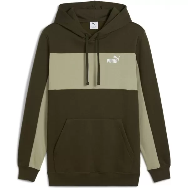  Herren-Sweatshirt PUMA ESS BLOCK HOODIE FL 684686-82 GRÜN 